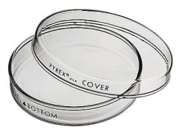 Corning 3160101 Petri Dish. Boro Glass, Pyrex, 100x15, Sterile, Marked - Cover Bottom, Complete Set, 6/PK 12/CS